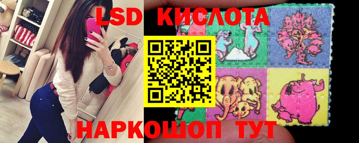 Киселёвск  где можно купить наркотик  Наркотические марки  Вход с VPN  Марки NBOMe 1,8мг 